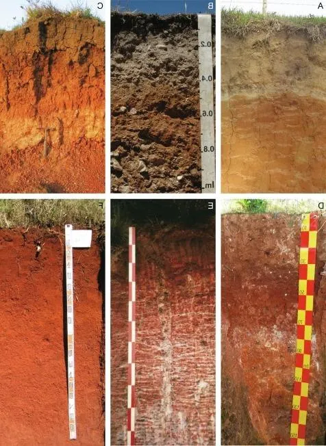 Clasificación del Suelo