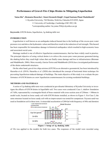 Más sobre Desempeño de Drenajes de Grava y Neumáticos en la Mitigación de la Licuefacción.