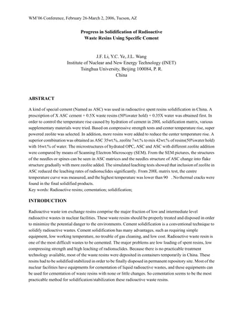 Más sobre Progreso en la Solidificación de Resinas de Desechos Radiactivos utilizando Cemento Específico.