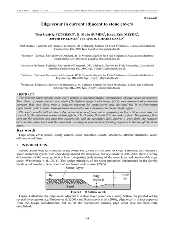 Más sobre Erosión en el Borde en la Corriente Adyacente a Coberturas de Piedra.