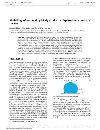Más sobre Modelado de la Dinámica de Gotas de Agua en Suelos Hidrofóbicos: Una Revisión.
