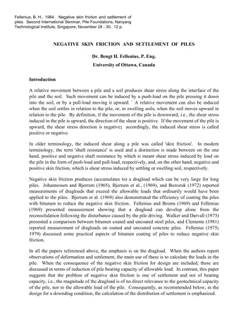Más sobre Fricción Negativa de la Piel y Asentamiento de Pilotes