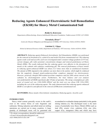 Más sobre Agentes Reductores para Mejorar la Remediación Electrocinética de Suelos